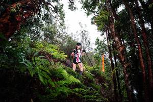 BIB: 
                            <button type="button" onclick="openModal(26205397)" class="btn btn-primary btn-sm float-right btn-popup" data-toggle="modal" data-target=".modal-high-quality">
                        <i class="fas fa-shopping-cart"></i> Add to Cart
                    </button>
                                            <button type="button" onclick="isThisMe(26205397, true)" class="btn btn-success btn-sm float-right btn-popup btn-isme hidden" data-toggle="tooltip" data-placement="bottom" title="นี่คือรูปของคุณใช่ไหม คลิกที่นี่เพื่อเอาเข้าอัลบั้ม">
                        <i class="fas fa-plus"></i> Add to album
                    </button>
                    <button type="button" onclick="isThisMe(26205397, false)" class="btn btn-warning btn-sm float-right btn-popup btn-isnotme hidden">
                        <i class="fas fa-ban"></i> Remove from album
                    </button>